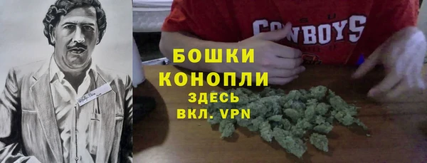 COCAINE Богородицк